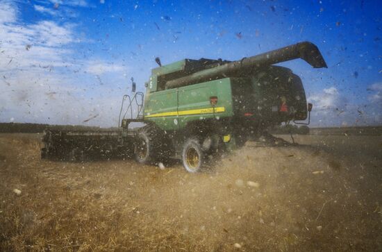Russia Agriculture Harvesting