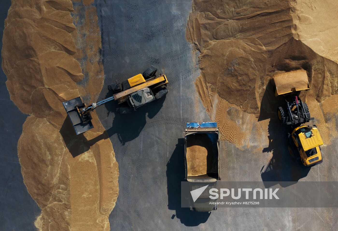 Russia Agriculture Harvesting