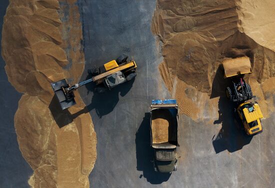 Russia Agriculture Harvesting