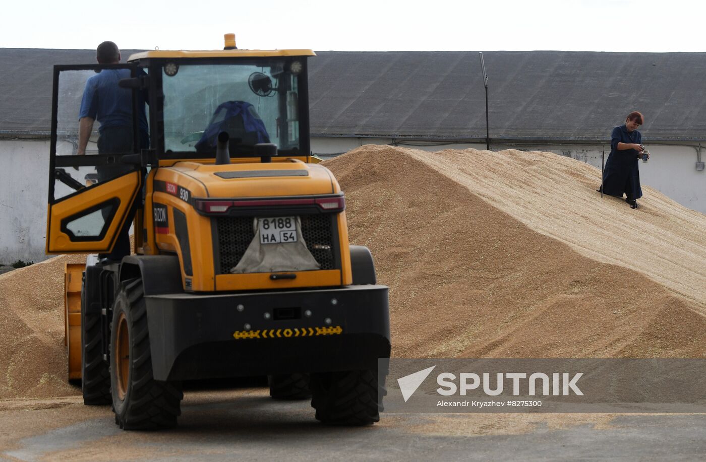Russia Agriculture Harvesting