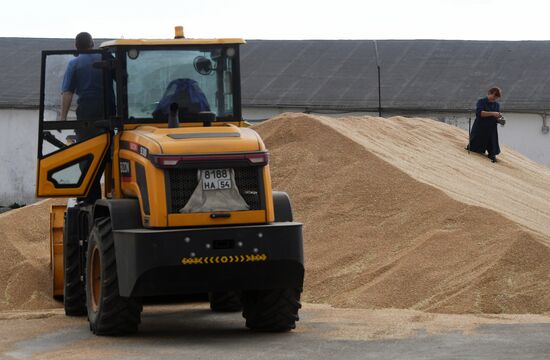Russia Agriculture Harvesting