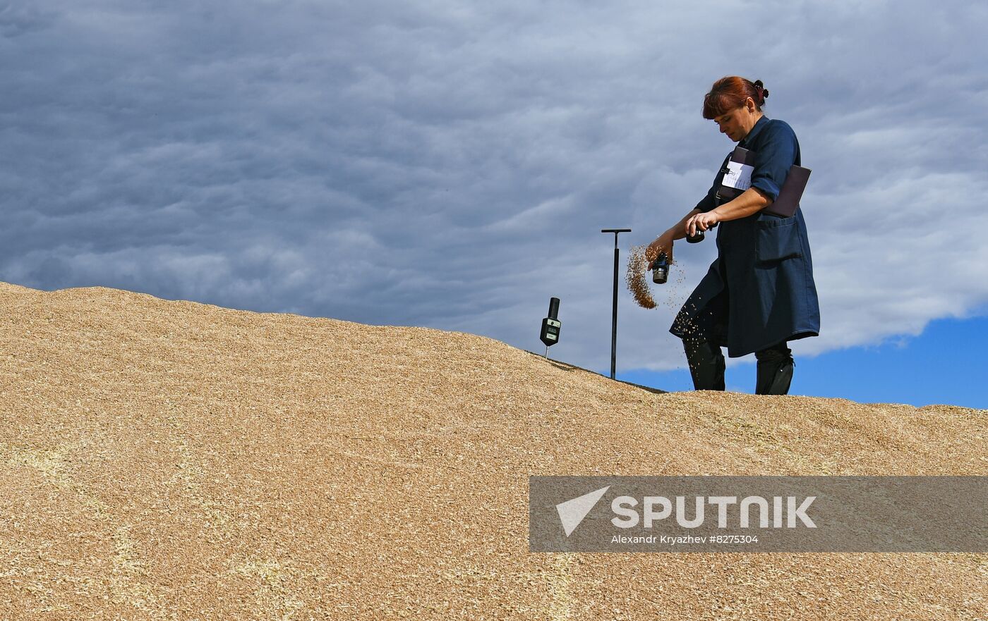 Russia Agriculture Harvesting