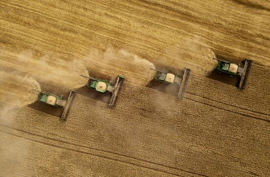 Russia Agriculture Harvesting