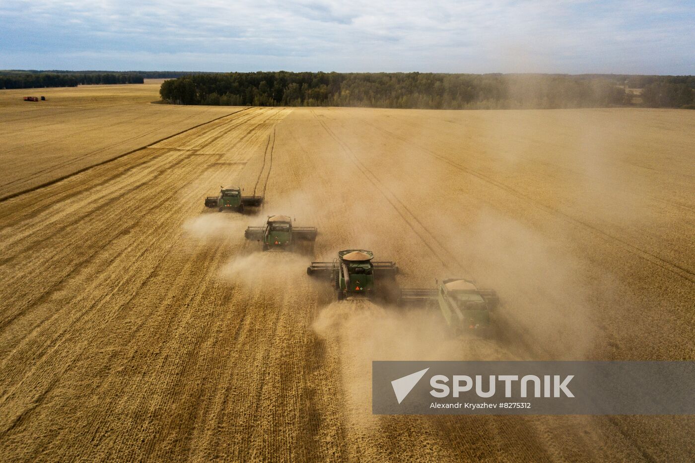 Russia Agriculture Harvesting