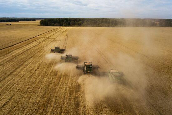 Russia Agriculture Harvesting