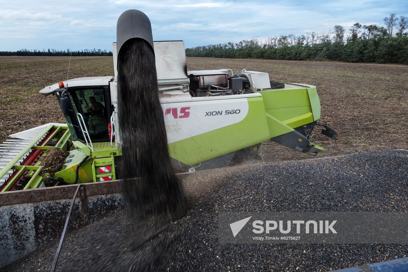 Russia Agriculture Sunflower Harvesting