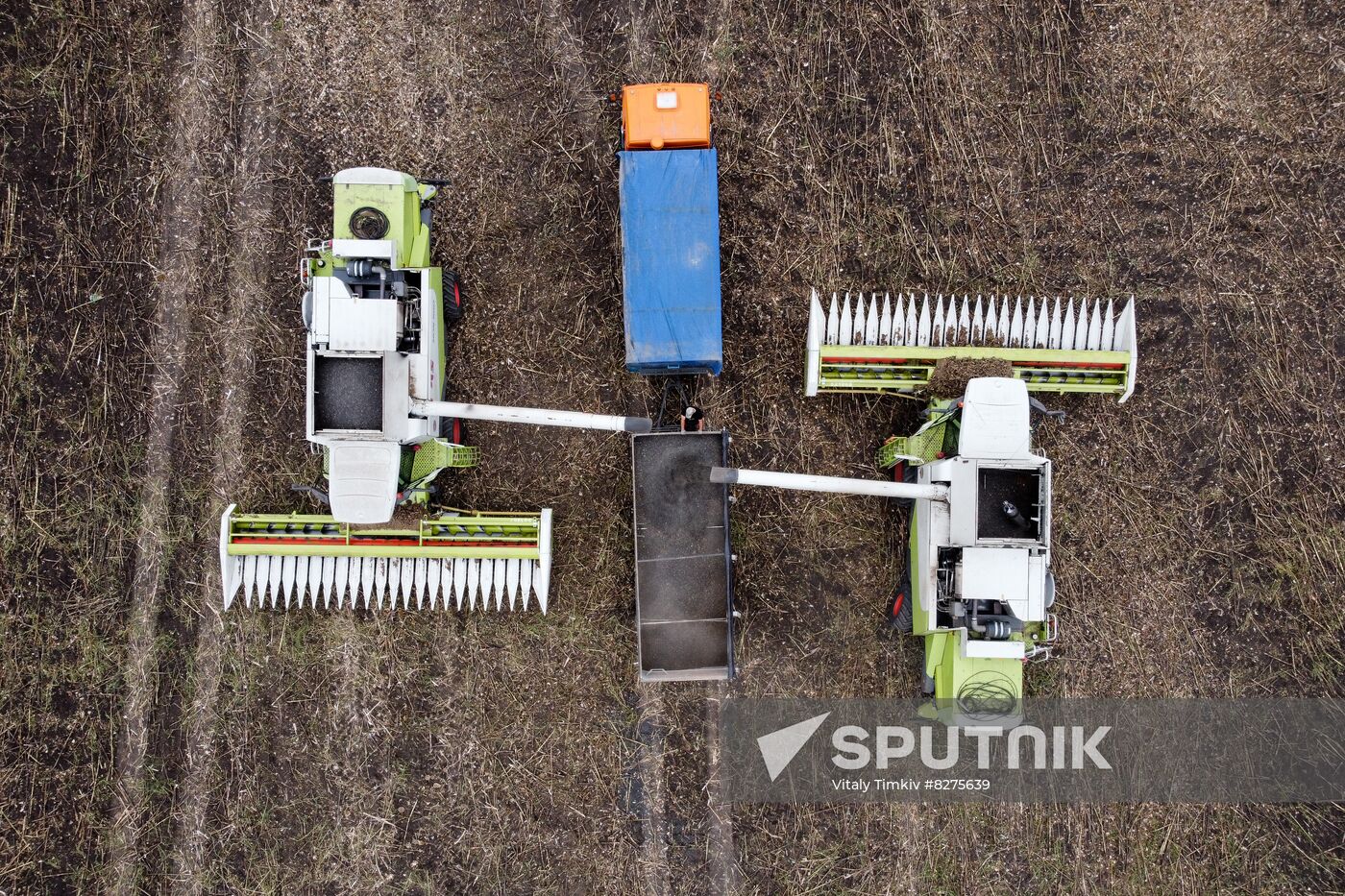 Russia Agriculture Sunflower Harvesting