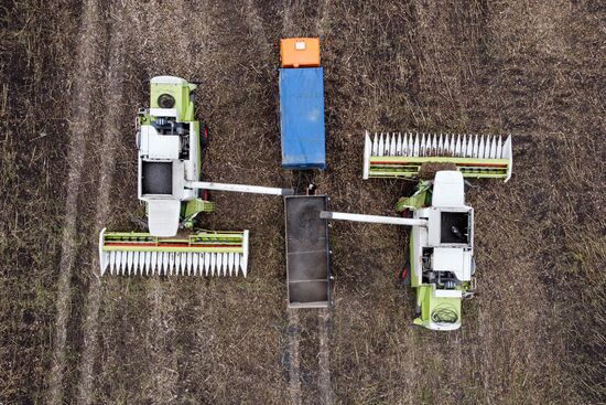 Russia Agriculture Sunflower Harvesting