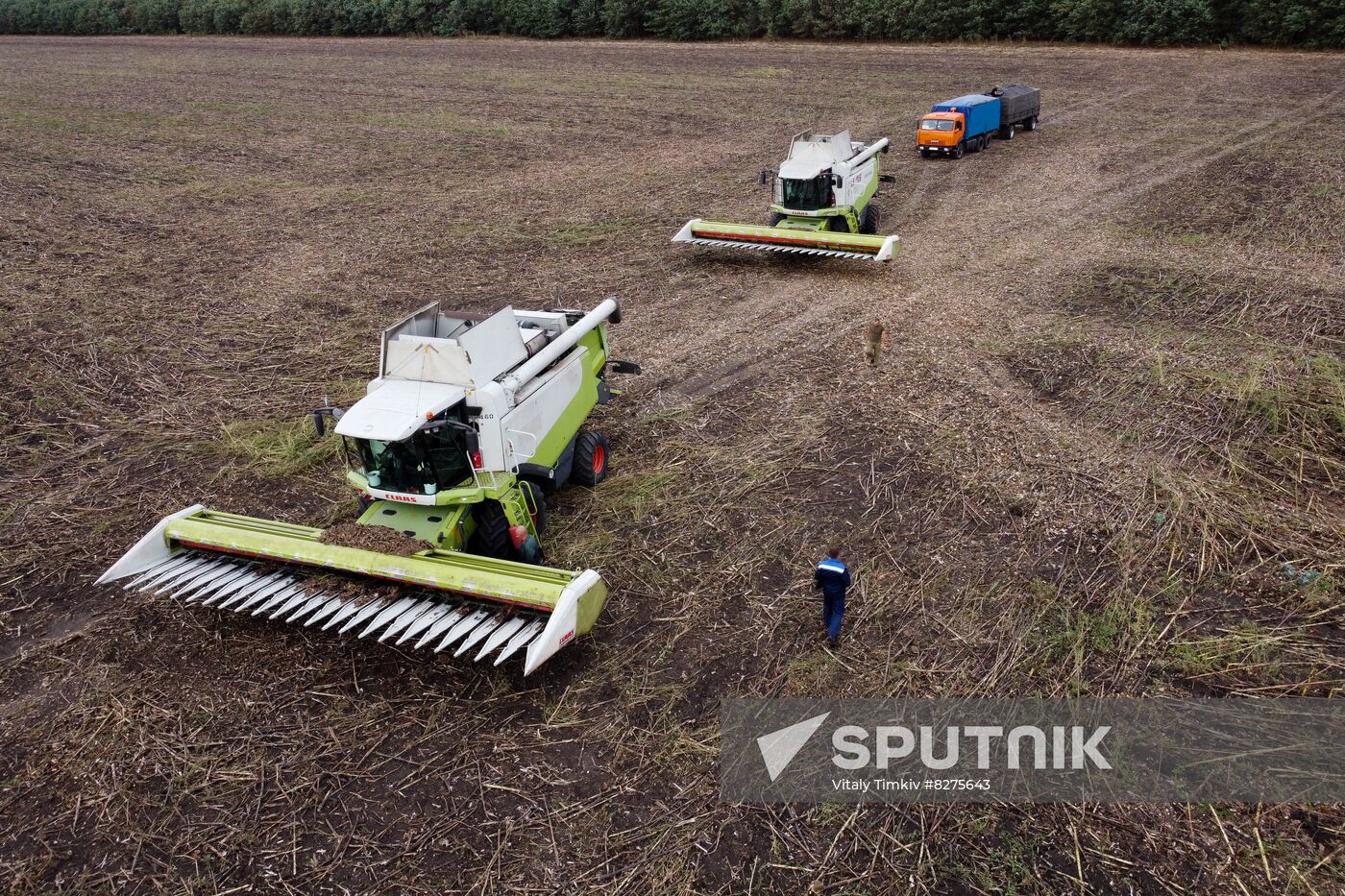 Russia Agriculture Sunflower Harvesting