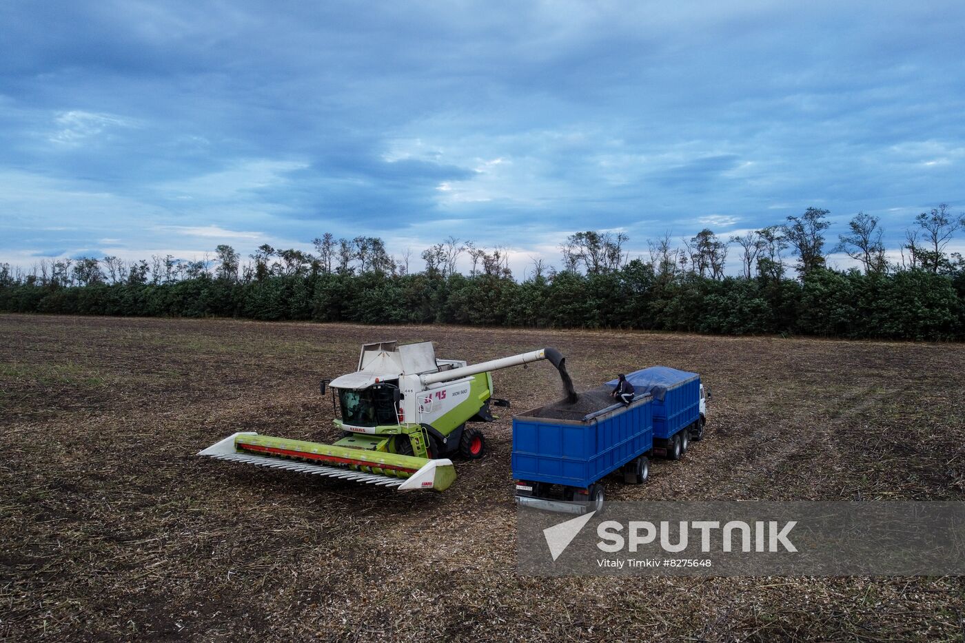 Russia Agriculture Sunflower Harvesting