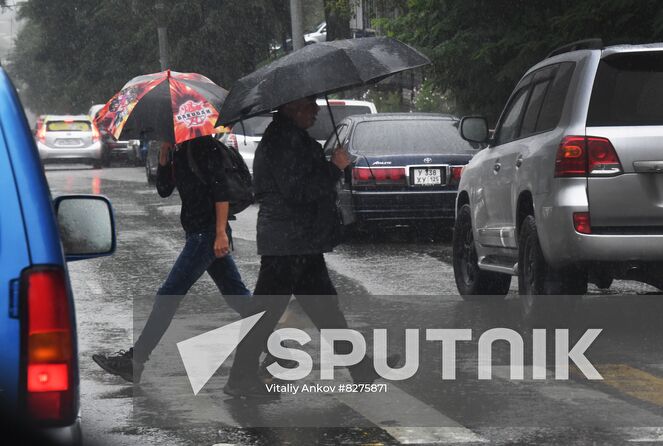 People walk under umbrellas on a pedestrian crossing during the rain in Vladivostok, Russia. Location: Russia, Vladivostok. Author: Vitaliy Ankov/Sputnik. Russia Weather