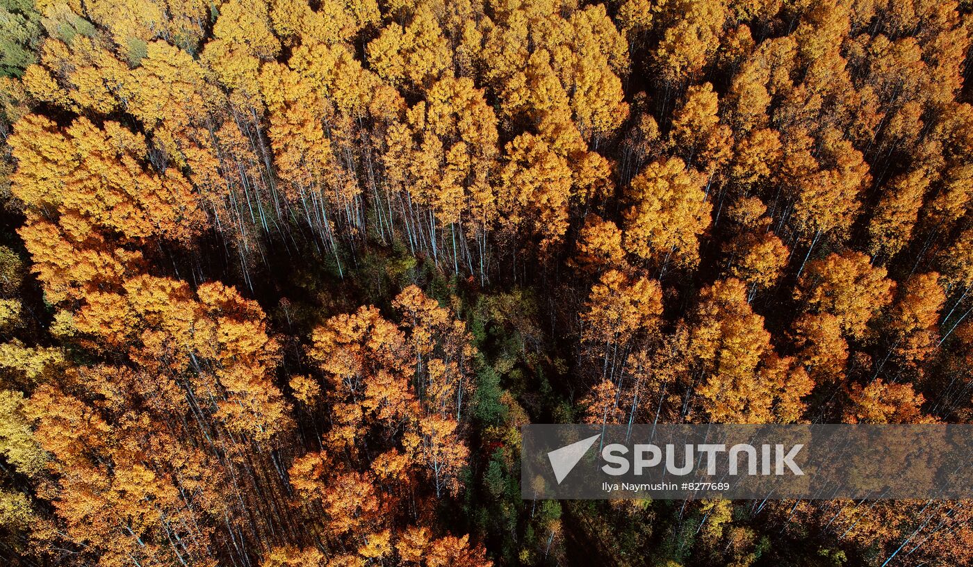 Russia Environment