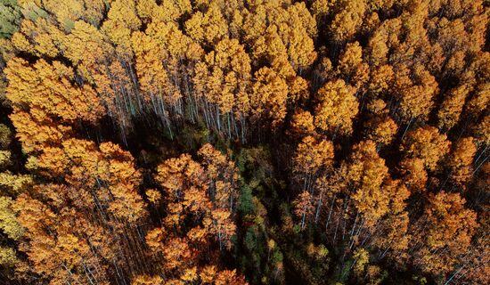Russia Environment