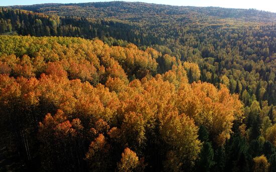 Russia Environment