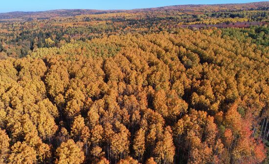 Russia Environment