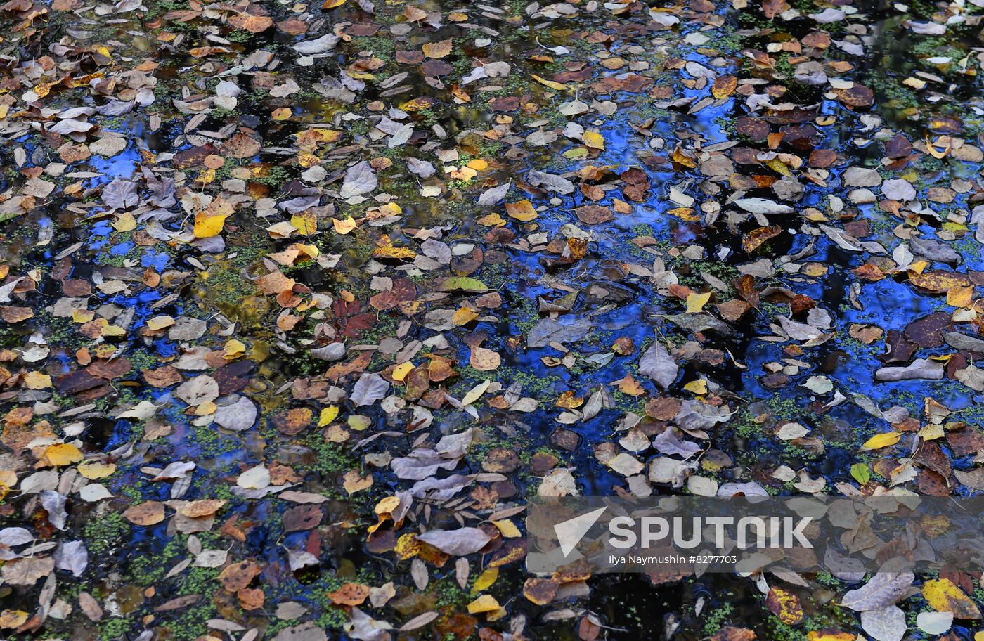 Russia Environment
