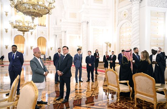 Russia Putin Ambassadors