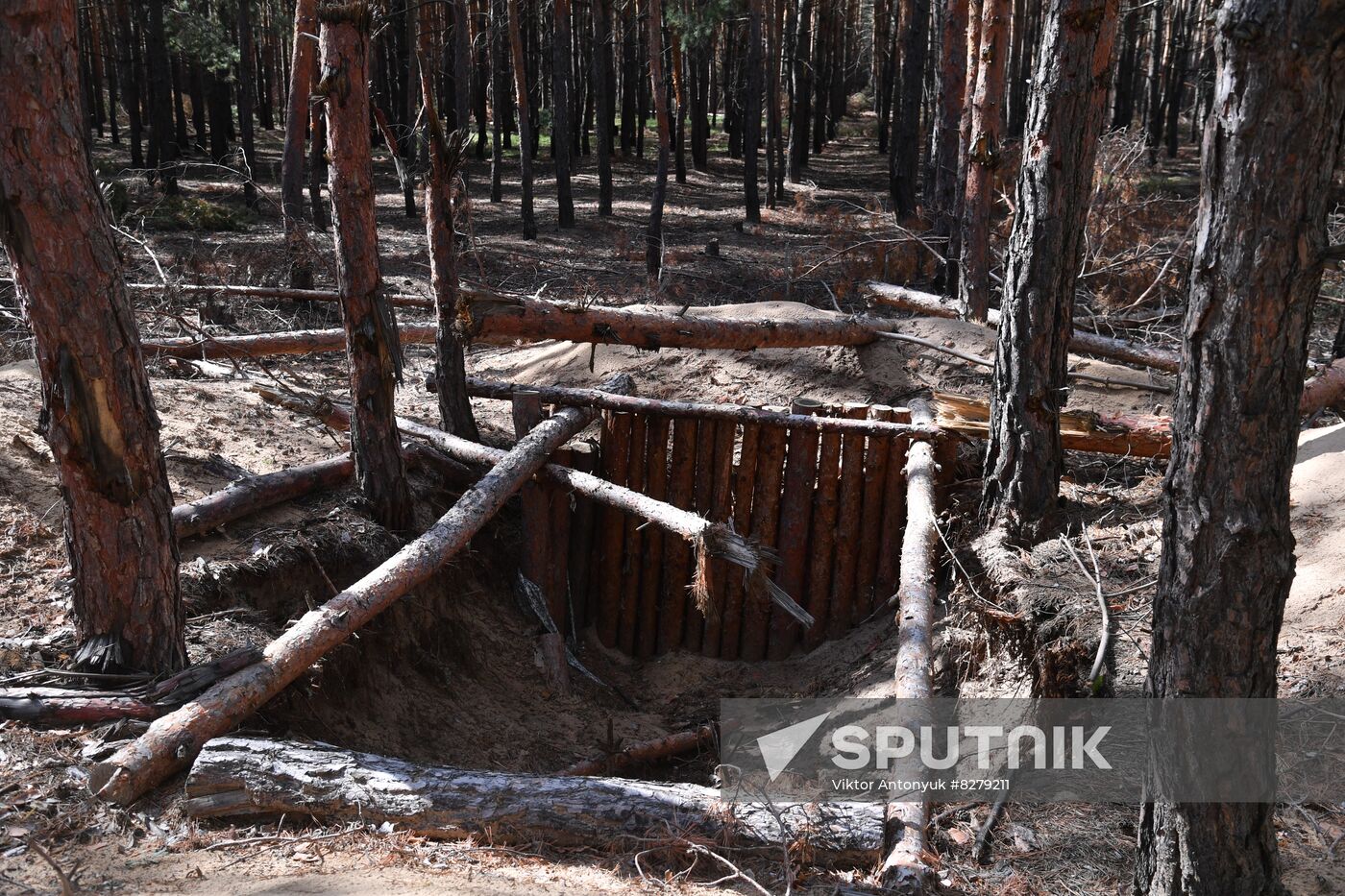 DPR Russia Ukraine Military Operation Cossacks