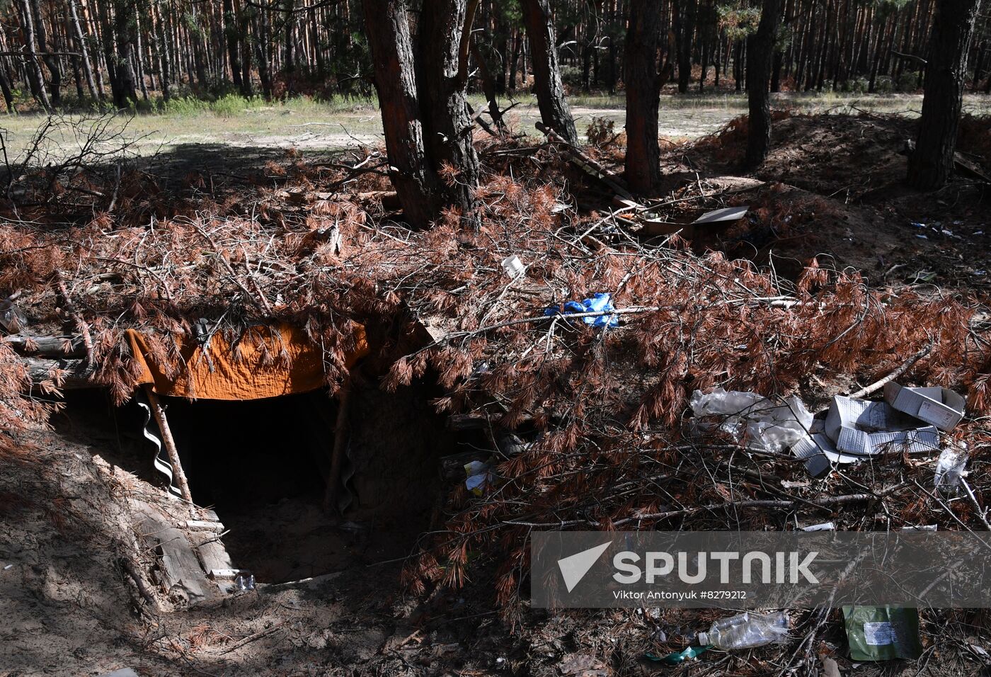 DPR Russia Ukraine Military Operation Cossacks