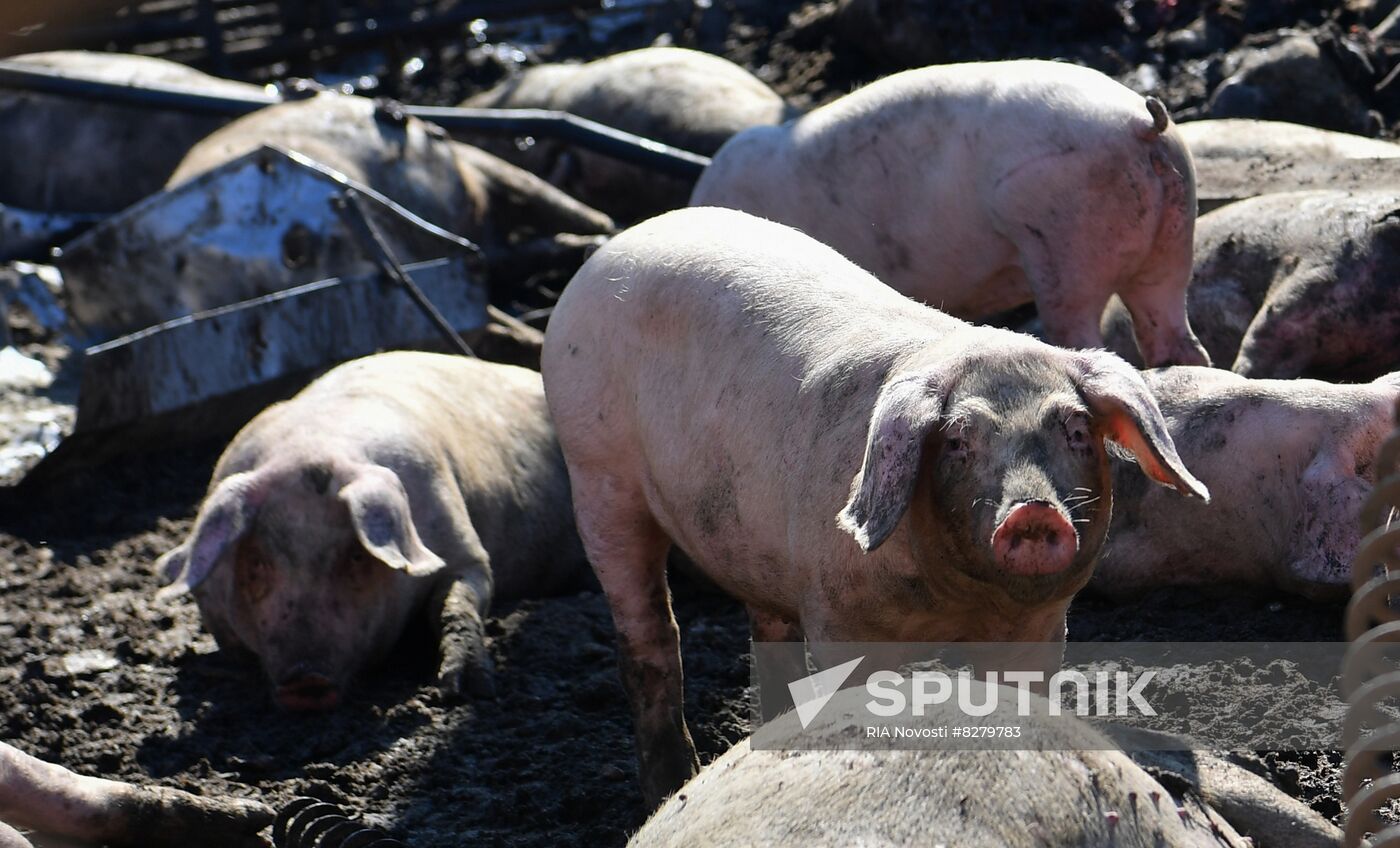 Ukraine Russia Military Operation Shelling