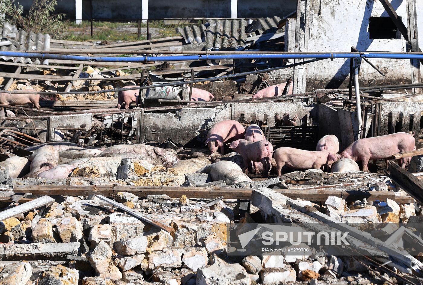 Ukraine Russia Military Operation Shelling