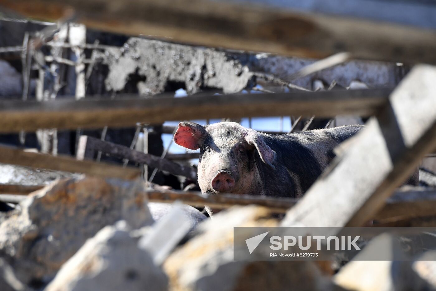 Ukraine Russia Military Operation Shelling