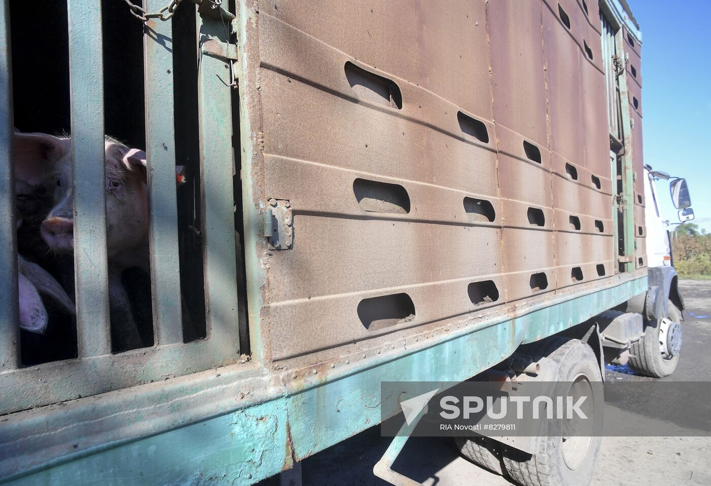 Ukraine Russia Military Operation Shelling