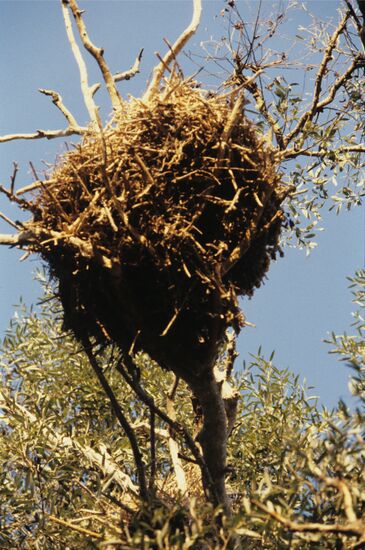 Astrakhan State Natural Biosphere Reserve