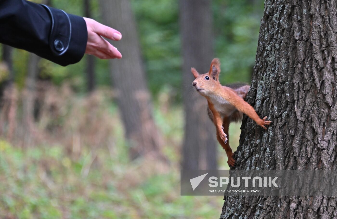 Russia Daily Life