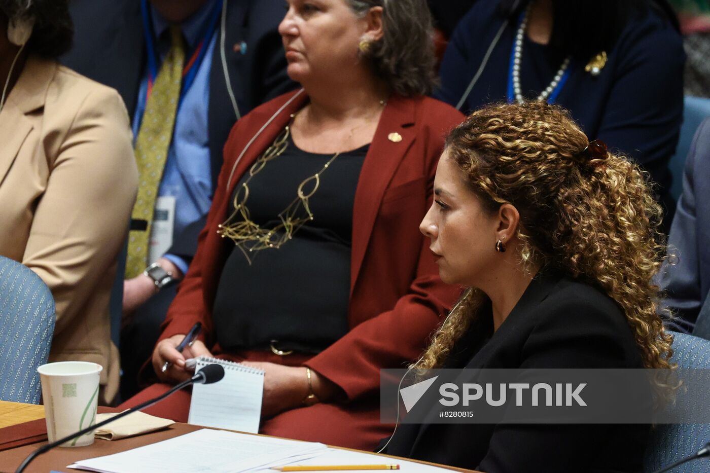 US UN Security Meeting