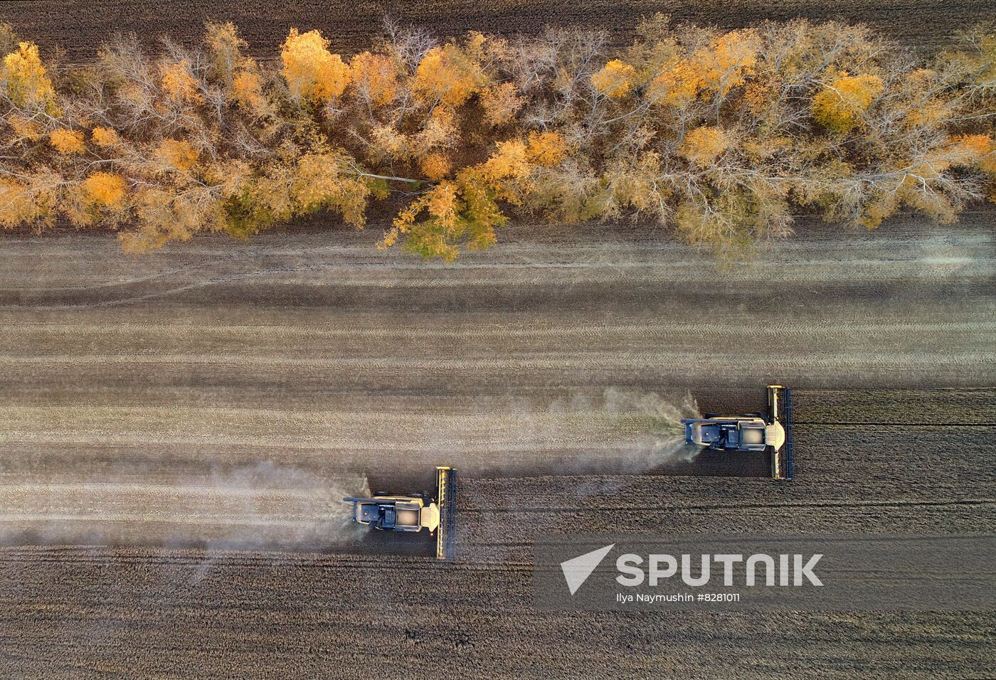 Russia Agriculture Wheat Harvesting