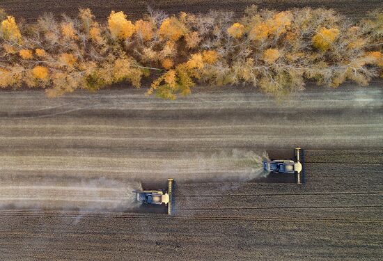 Russia Agriculture Wheat Harvesting