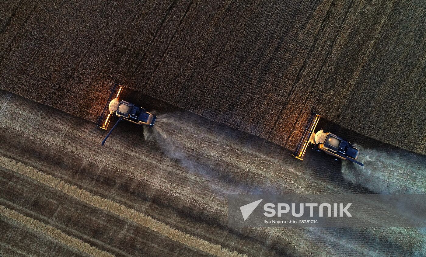 Russia Agriculture Wheat Harvesting