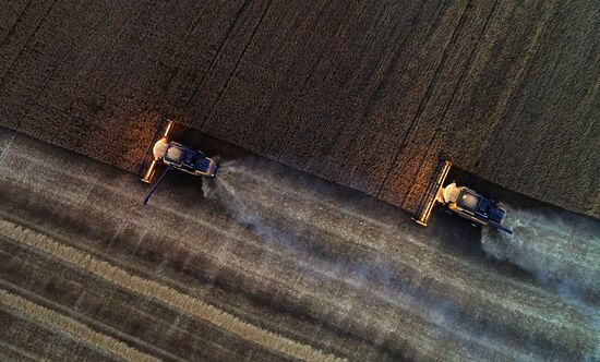 Russia Agriculture Wheat Harvesting