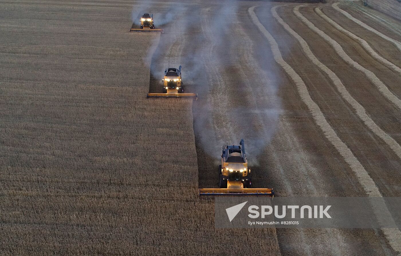Russia Agriculture Wheat Harvesting