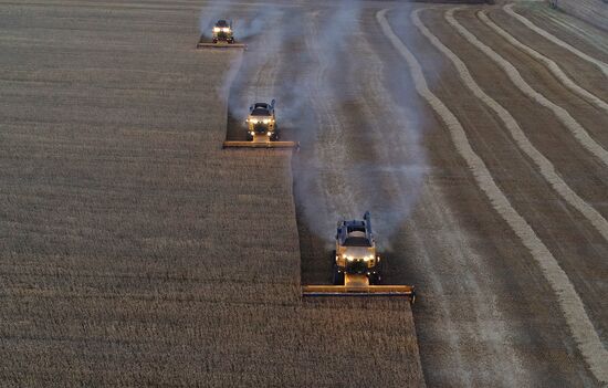 Russia Agriculture Wheat Harvesting