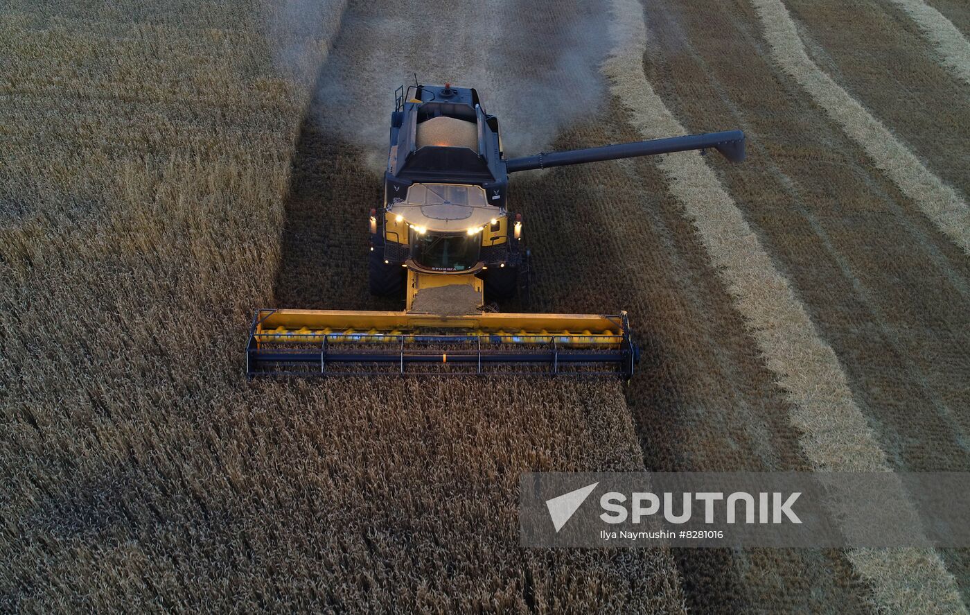 Russia Agriculture Wheat Harvesting