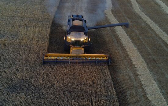 Russia Agriculture Wheat Harvesting