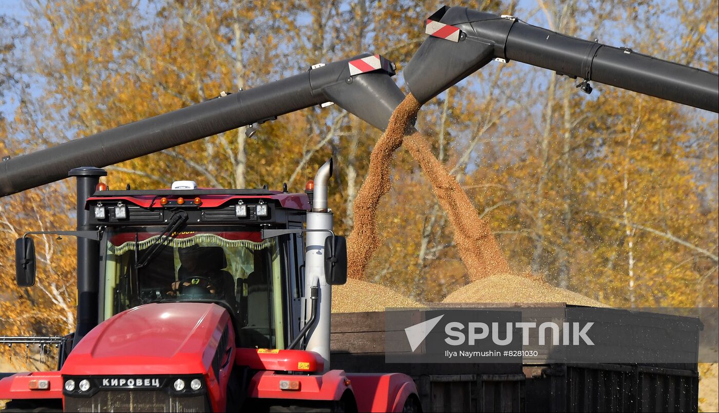 Russia Agriculture Wheat Harvesting