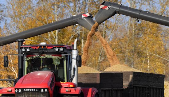 Russia Agriculture Wheat Harvesting