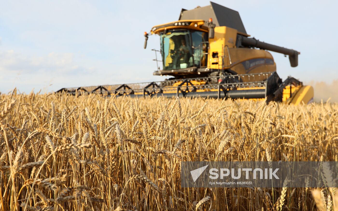 Russia Agriculture Wheat Harvesting