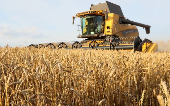 Russia Agriculture Wheat Harvesting