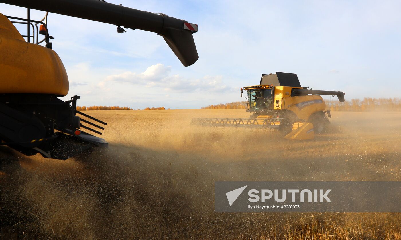 Russia Agriculture Wheat Harvesting