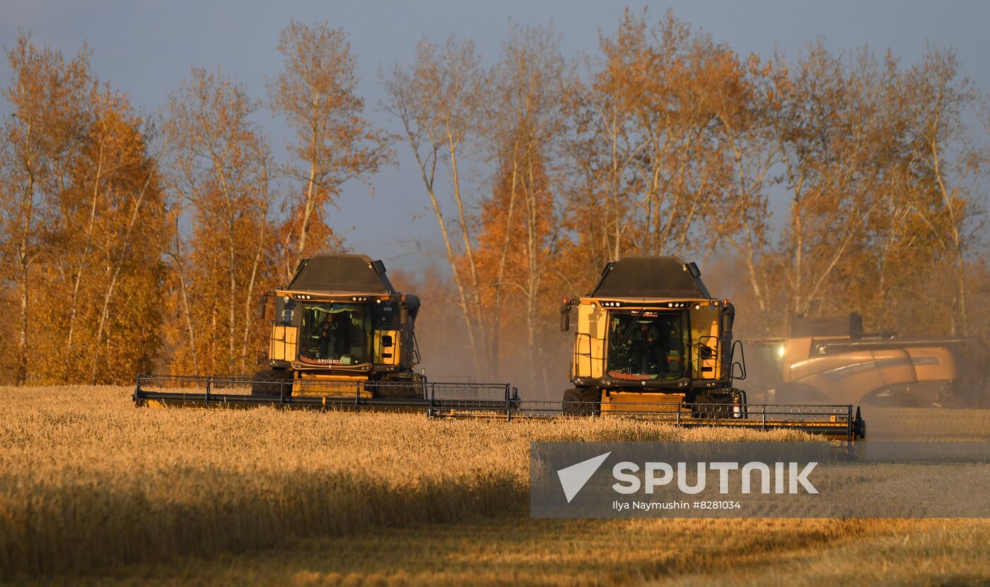 Russia Agriculture Wheat Harvesting