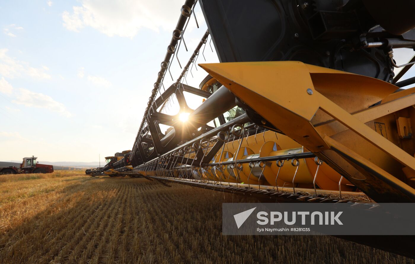 Russia Agriculture Wheat Harvesting