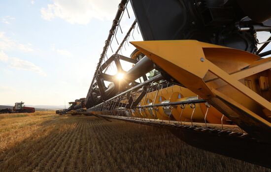 Russia Agriculture Wheat Harvesting