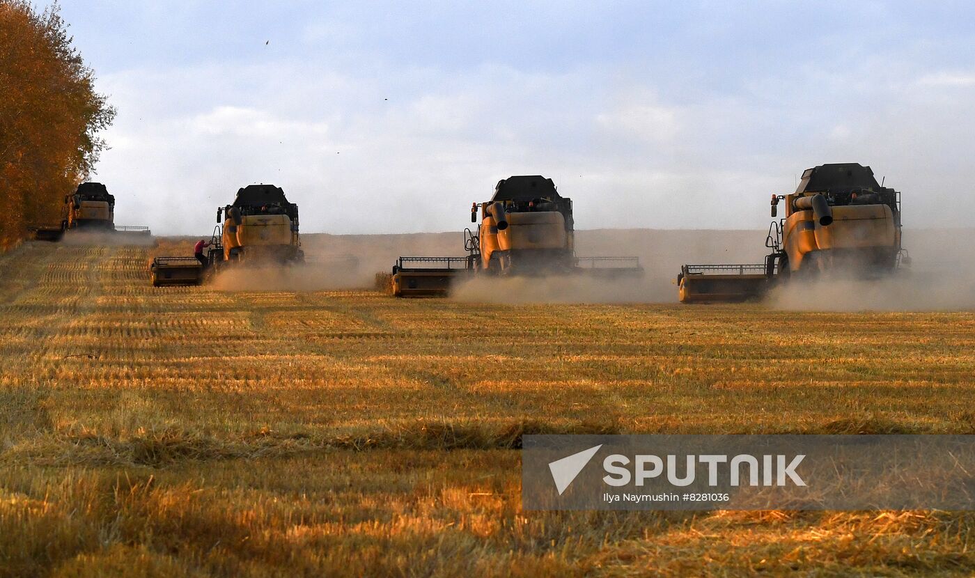 Russia Agriculture Wheat Harvesting