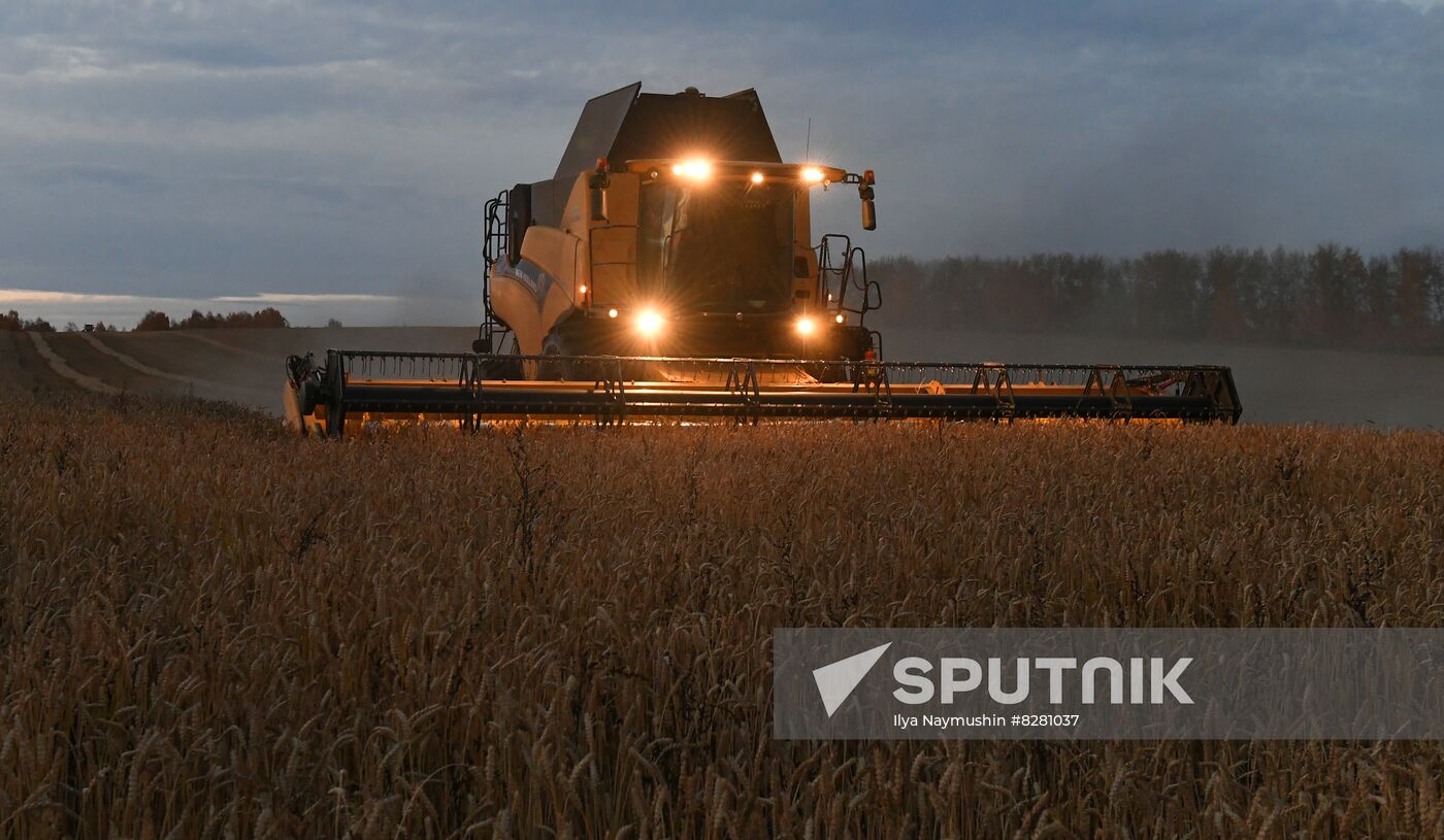 Russia Agriculture Wheat Harvesting