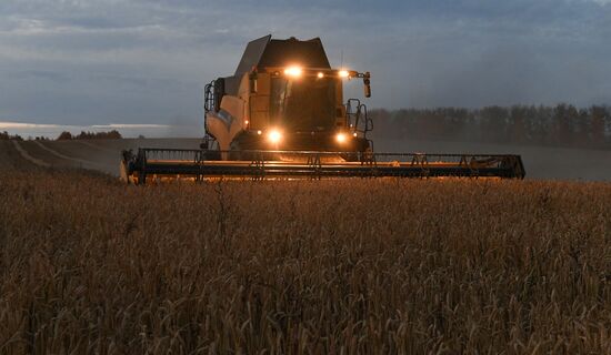 Russia Agriculture Wheat Harvesting