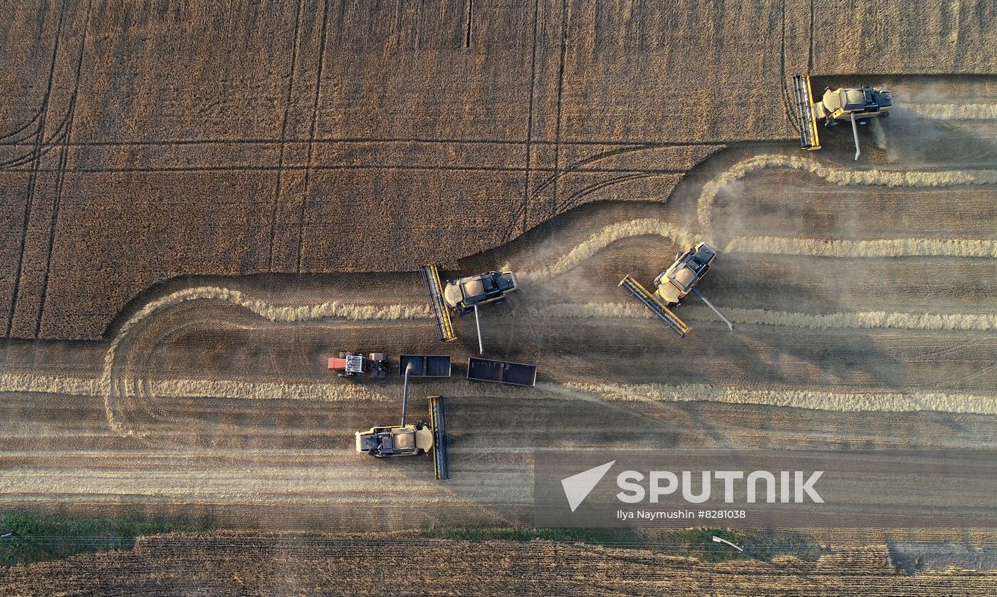 Russia Agriculture Wheat Harvesting